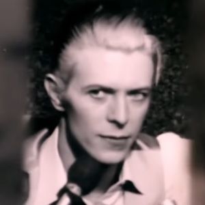 Meet your Posher, Jake